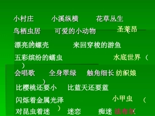 __装满昆虫的衣袋