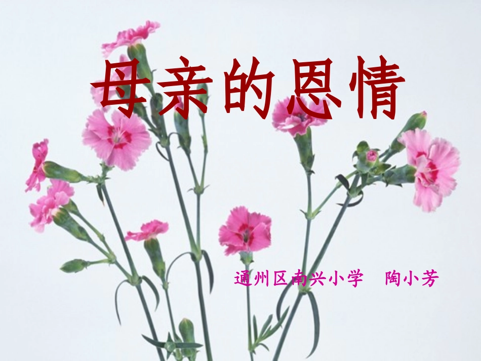 《母亲的恩情》课件_第1页