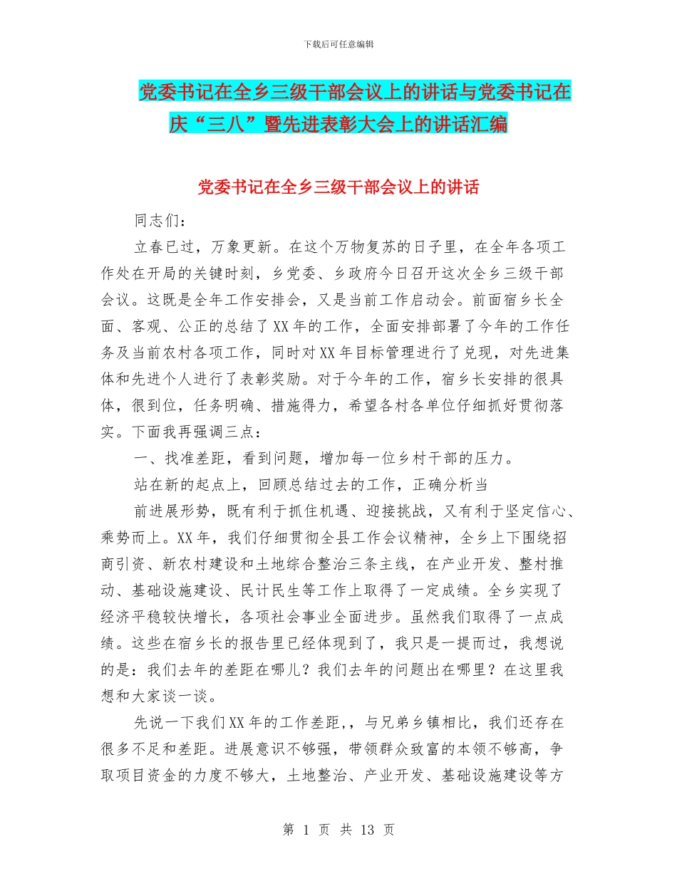 党委书记在全乡三级干部会议上的讲话与党委书记在庆“三八”暨先进表彰大会上的讲话汇编_第1页