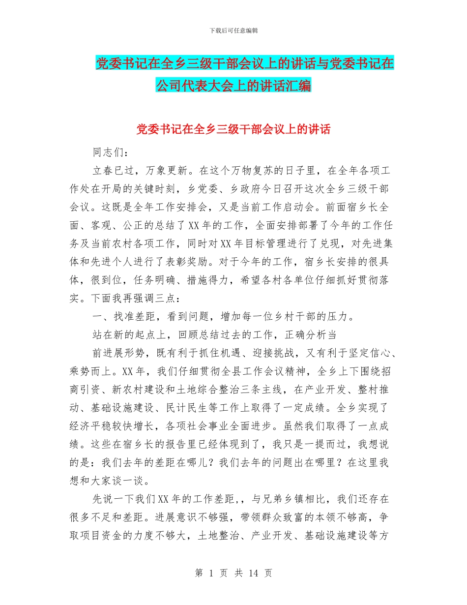 党委书记在全乡三级干部会议上的讲话与党委书记在公司代表大会上的讲话汇编_第1页