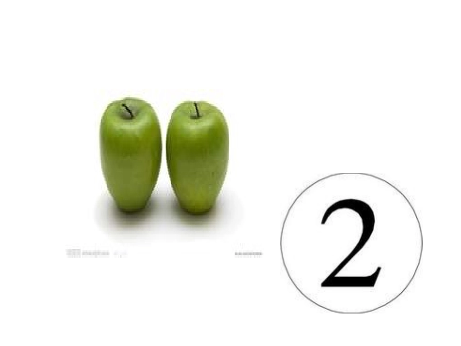 中班数学：小兔逛超市_第3页