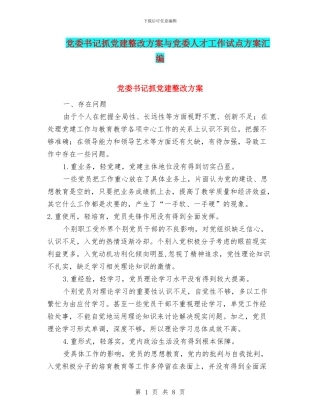 党委书记抓党建整改方案与党委人才工作试点方案汇编
