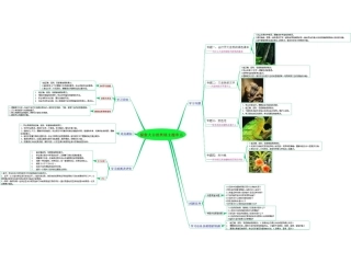 探索大自然知识树