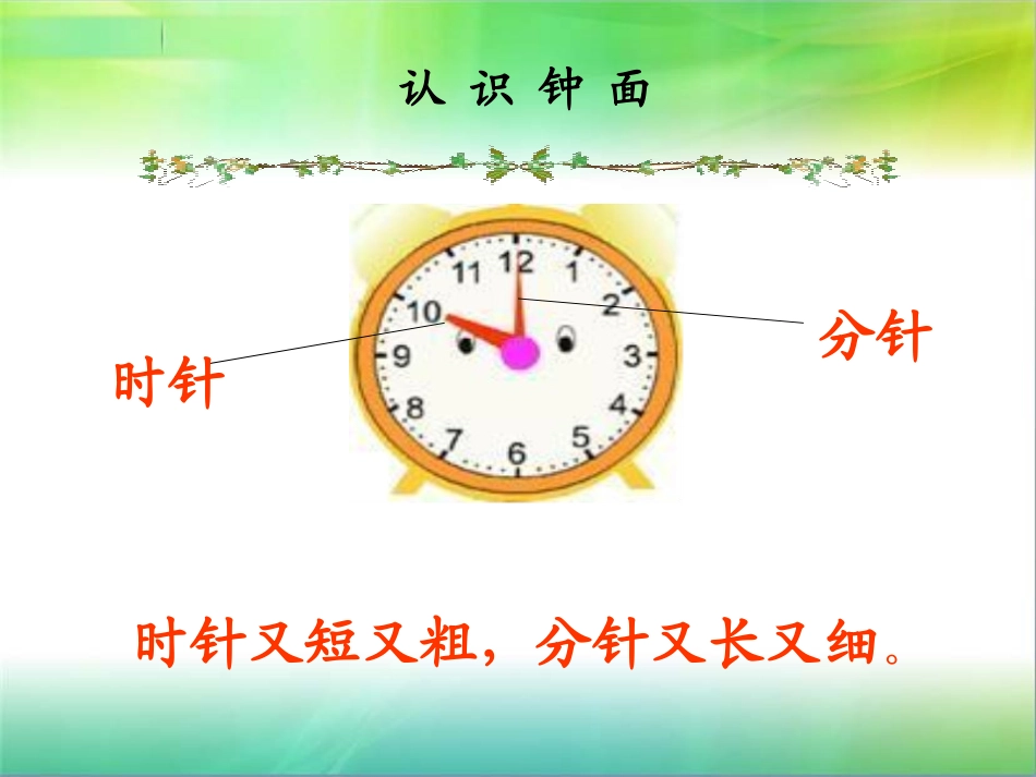 《认识钟表》PPT_第3页
