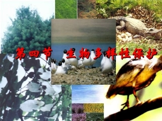 生物多样性保护