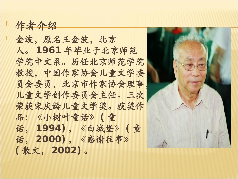 盲孩子和他的影子课件_第3页