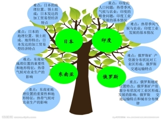 我们临近的地区和国家知识树