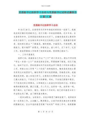 党委副书记挂职学习总结与党委副书记述职述廉报告汇编