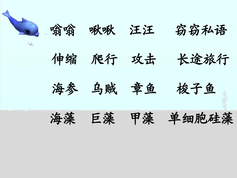 《海底世界》配套课件 (2)_第2页