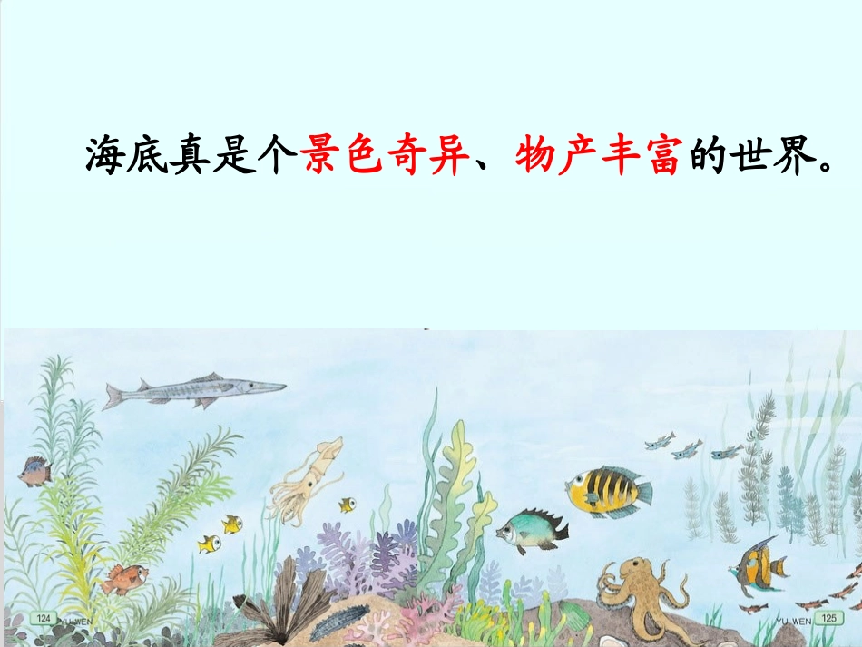 《海底世界》配套课件 (2)_第3页