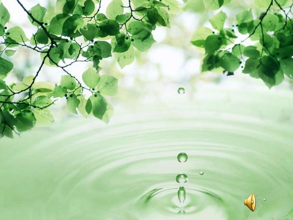 zhchsh课件_第1页