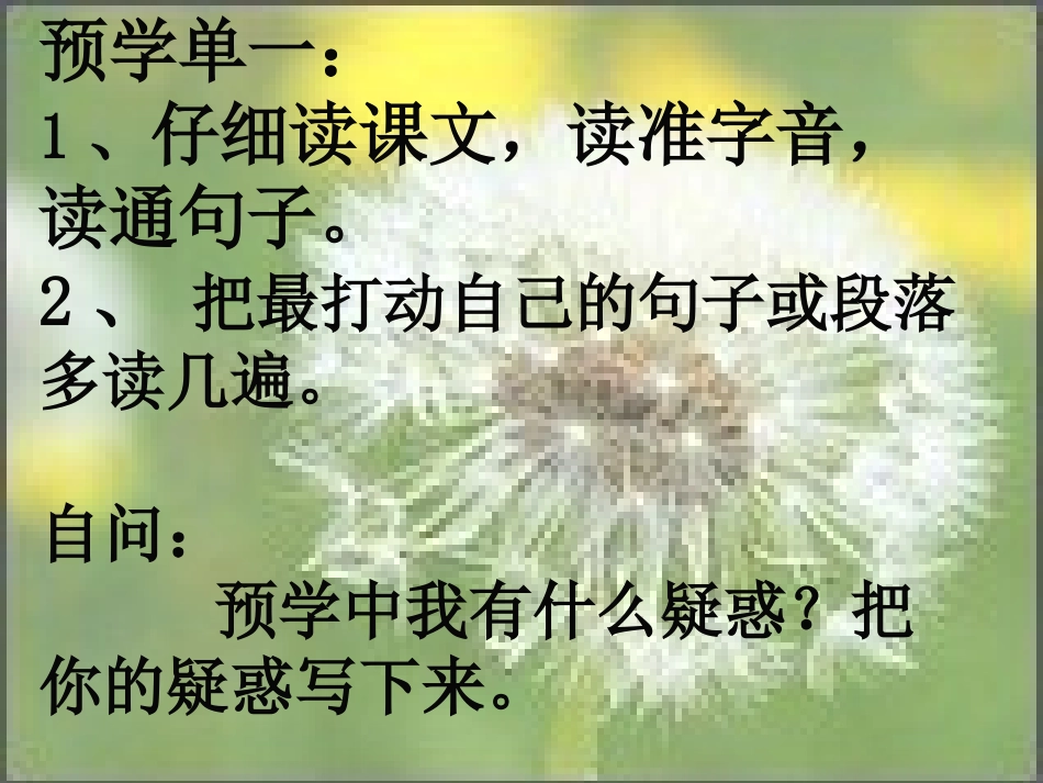 番茄太阳 (3)_第2页