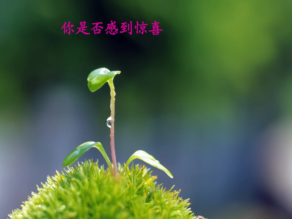 《囚绿记》精品_第2页