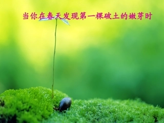 《囚绿记》精品