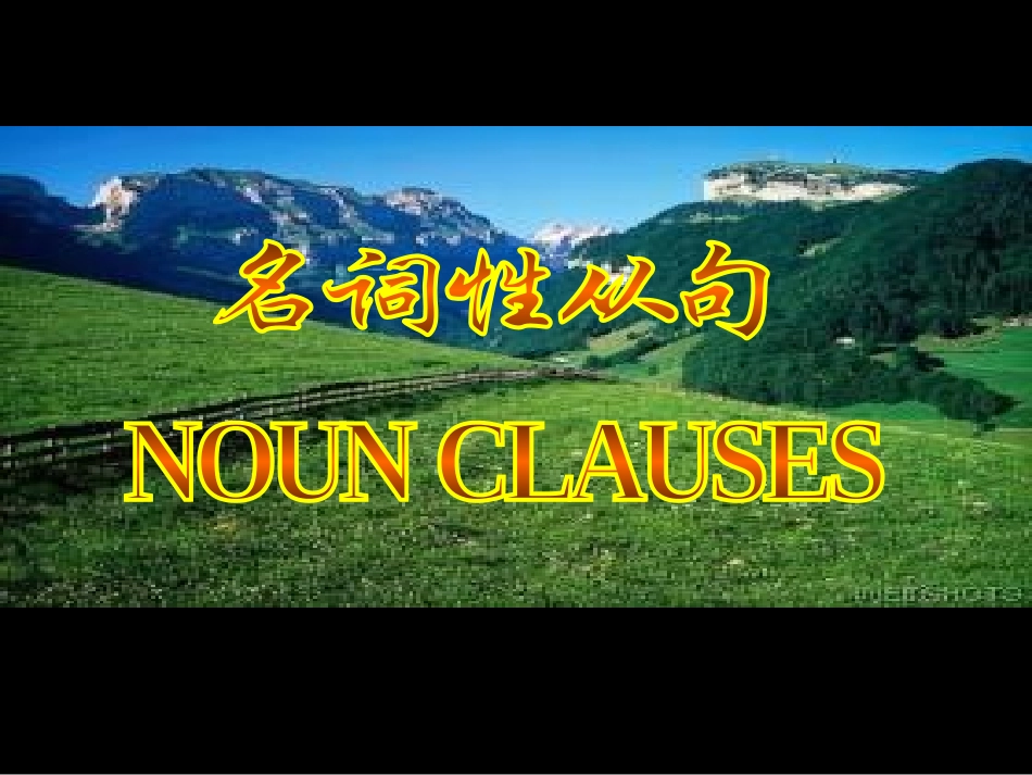 名词性从句 (4)_第1页