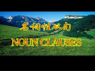 名词性从句 (4)