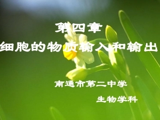 物质跨膜运输的实例1