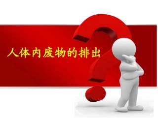 生物课件：《尿液的形成和排出》公开课