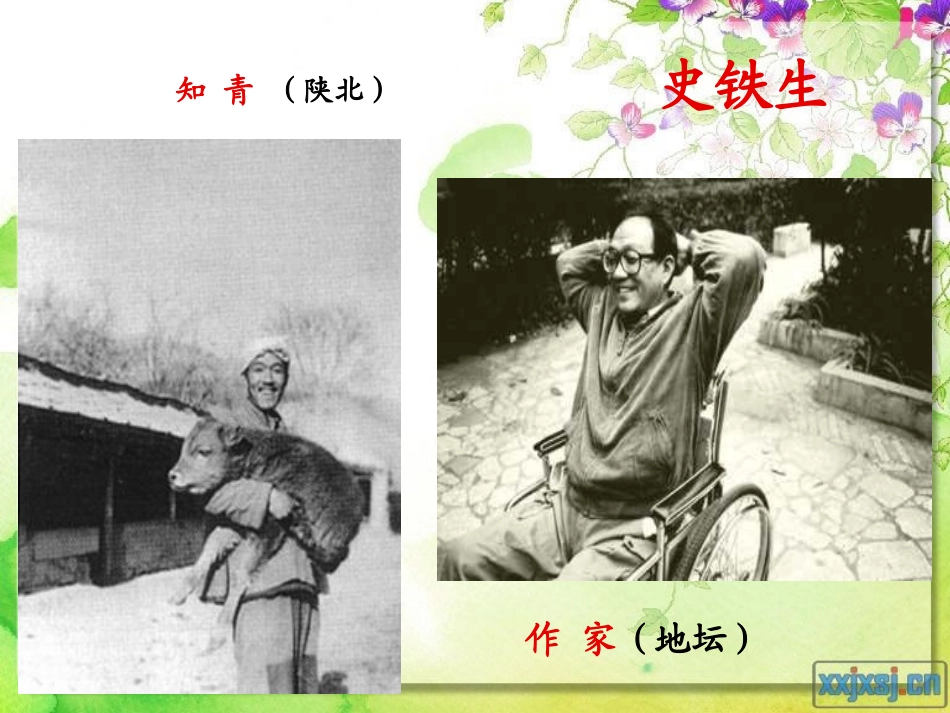 《合欢树》原创课件_第2页