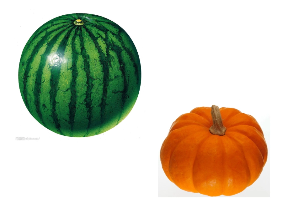 童谣《瓜瓜花》_第3页