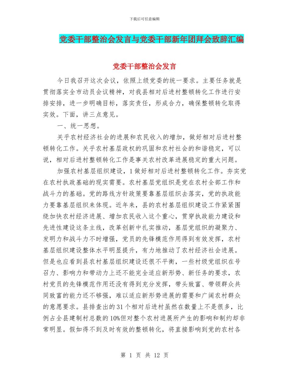 党委干部整治会发言与党委干部新年团拜会致辞汇编_第1页