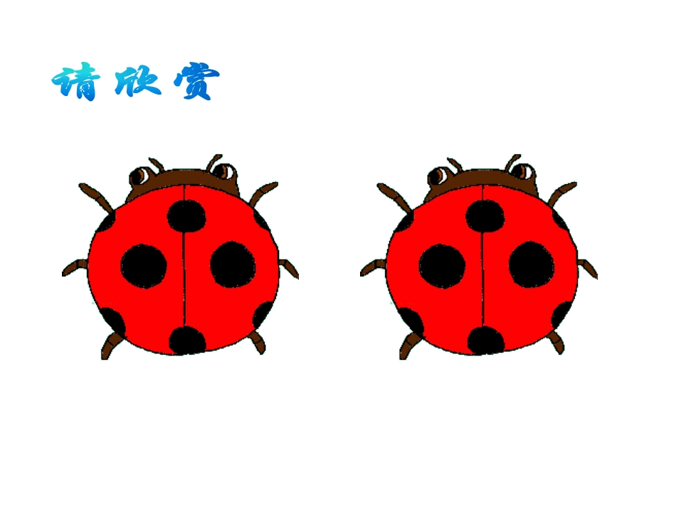 全等图形 (2)_第3页