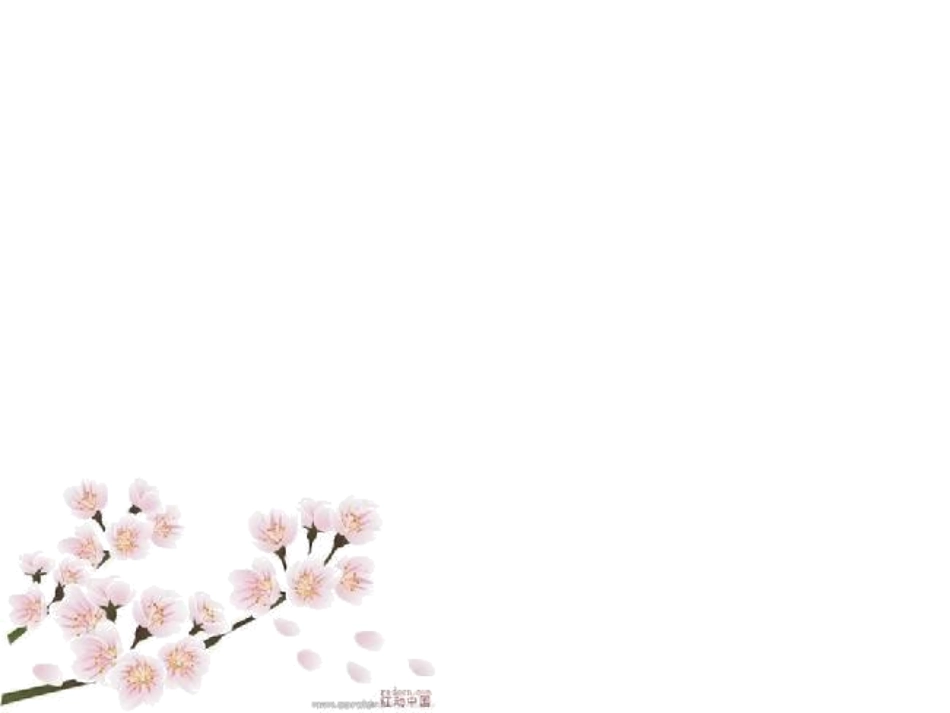 《剪枝的学问》课件_第1页