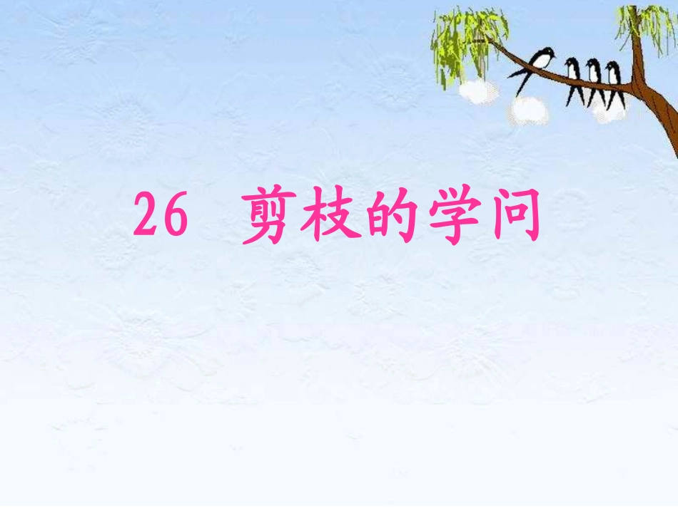 《剪枝的学问》课件_第2页