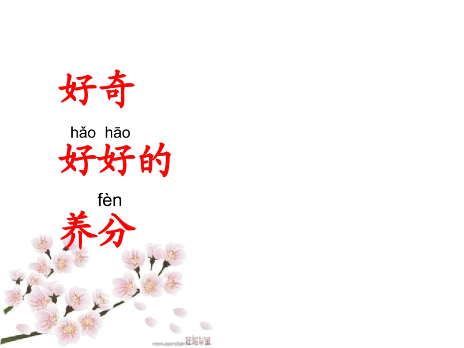 《剪枝的学问》课件_第3页