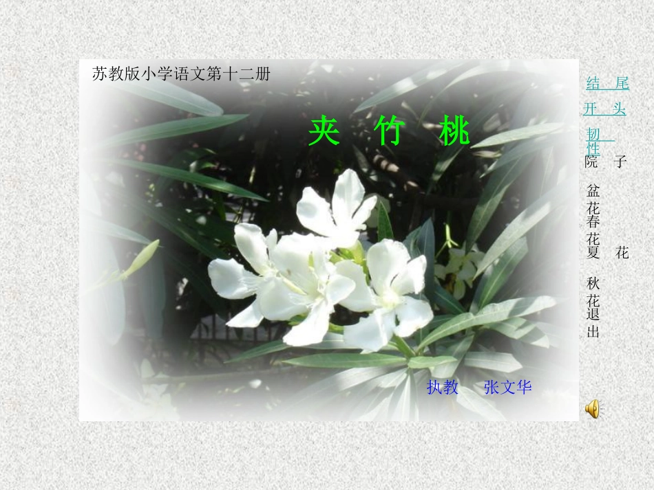 夹竹桃 (2)_第1页