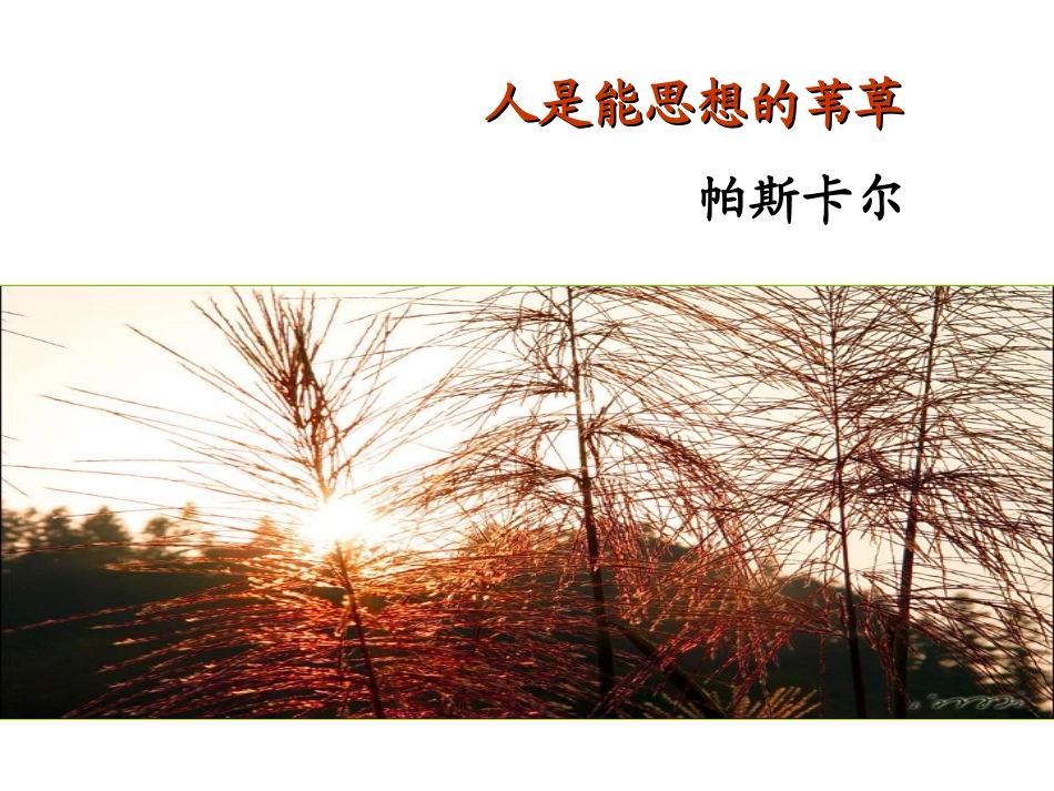 人是思想的苇草_第1页