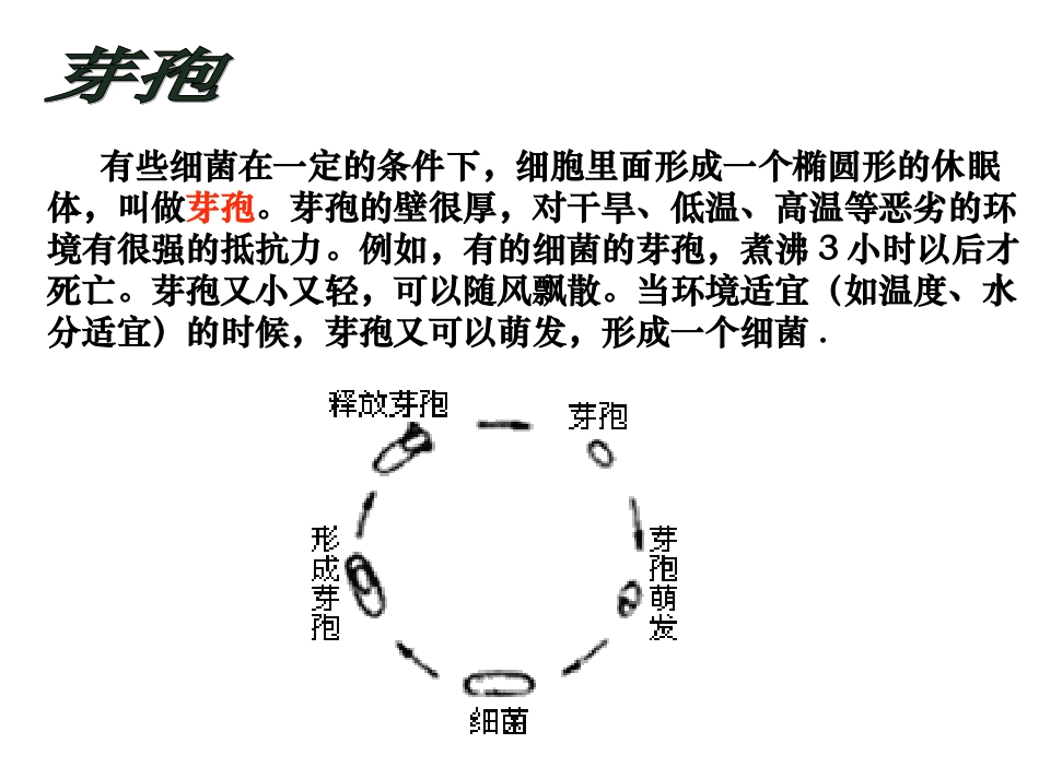 微生物实验室培养_第3页