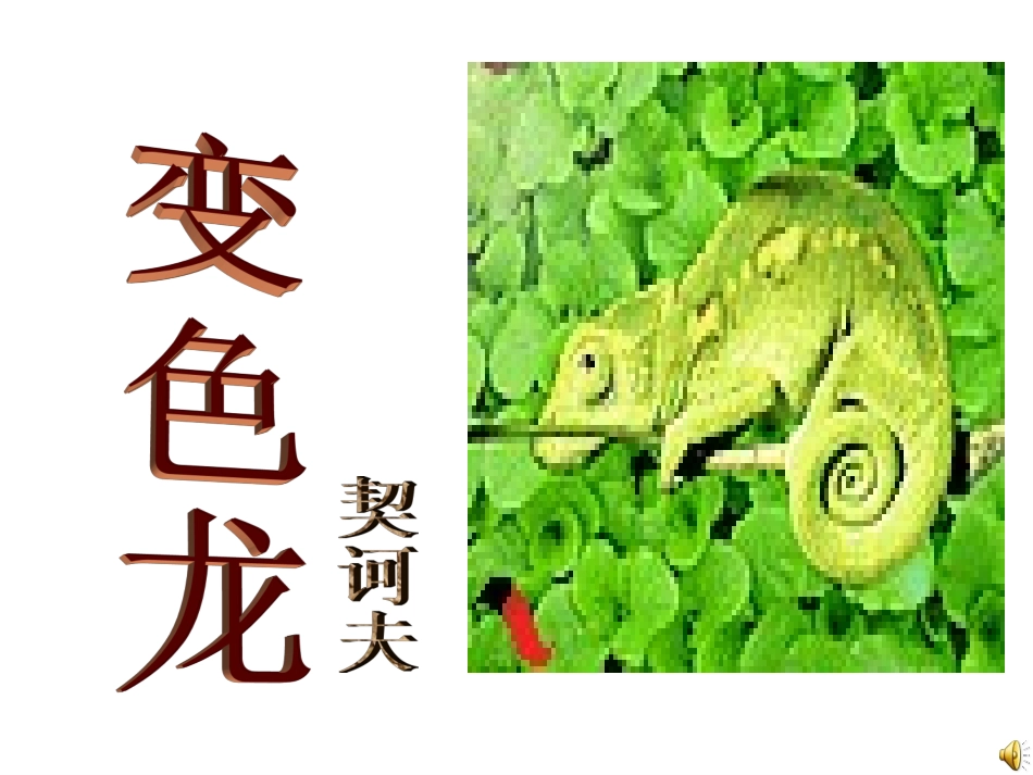 321变色龙_第1页