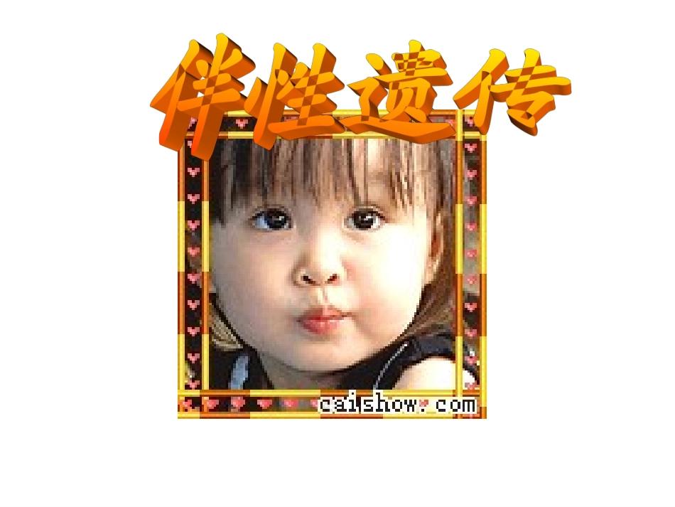 2.3-《伴性遗传》课件2_第2页