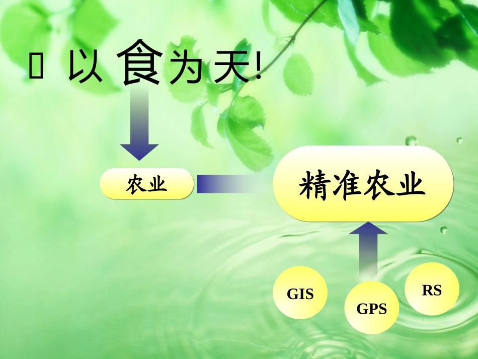 精准农业与3S技术_第1页