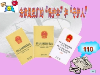 八年级十四课第三课时课件-