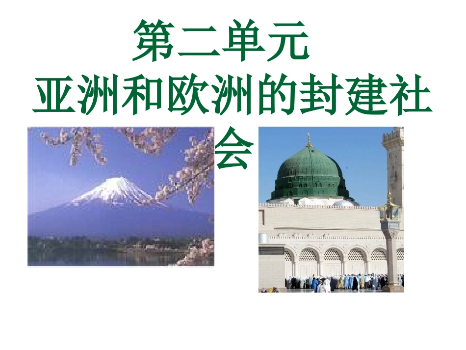 历史：第二单元亚洲和欧洲的封建社会复习课件(人教新课标九年级上)_第3页