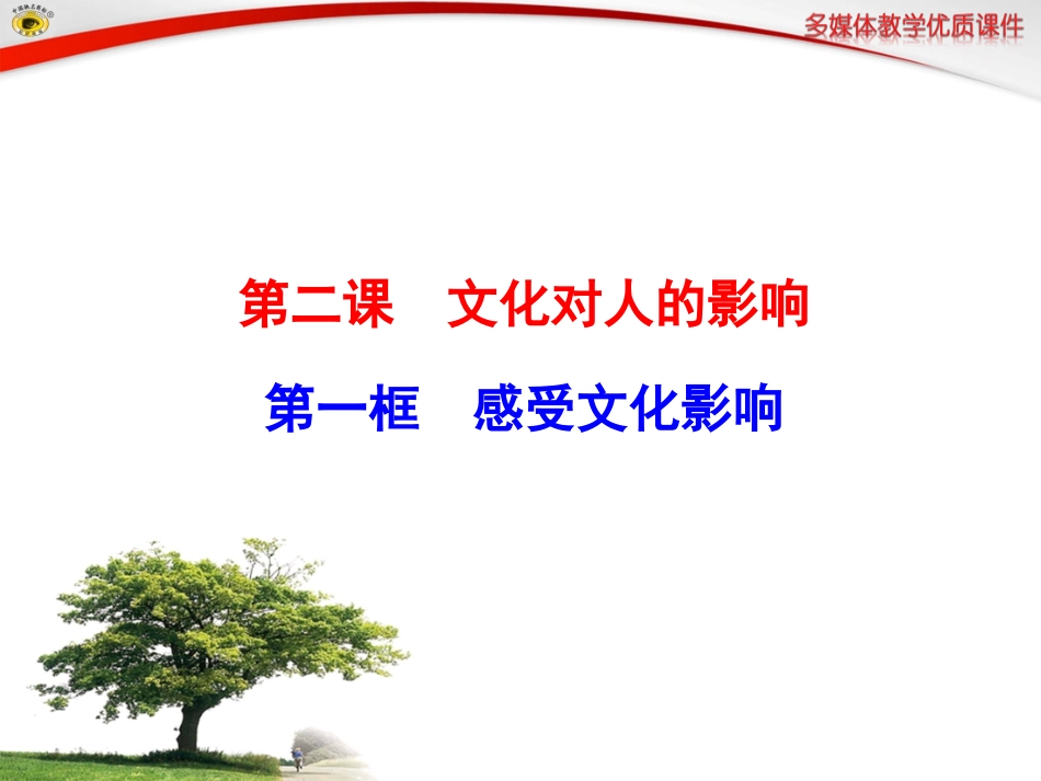 第一框感受文化影响_第1页