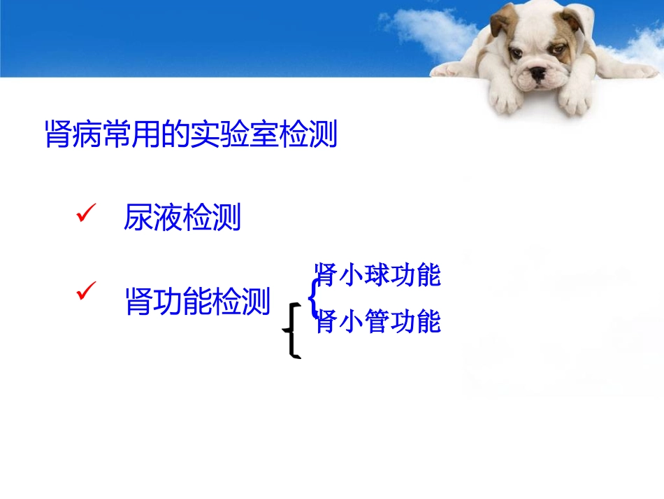 诊断学肾功能检测_第3页