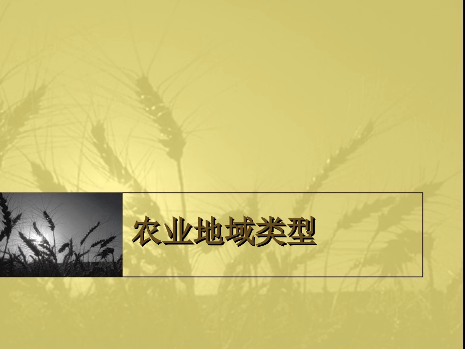 世界主要的农业地域类型_第2页