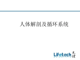 人体解剖及循环系统