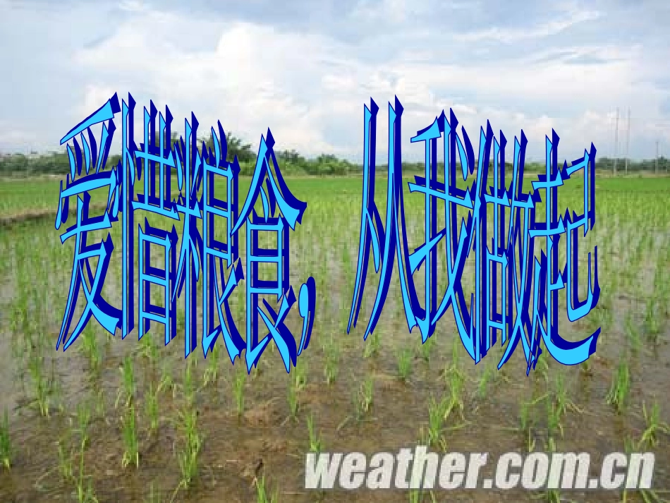 爱惜粮食_从我做起[1]_第3页