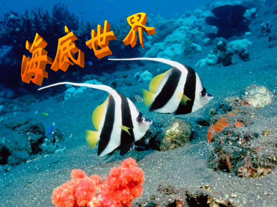 22海底世界_第2页