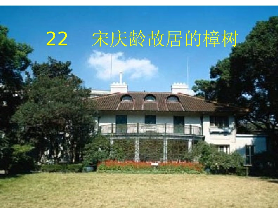 宋庆龄故居的樟树 (3)_第1页