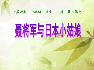 7聂将军与日本小姑娘