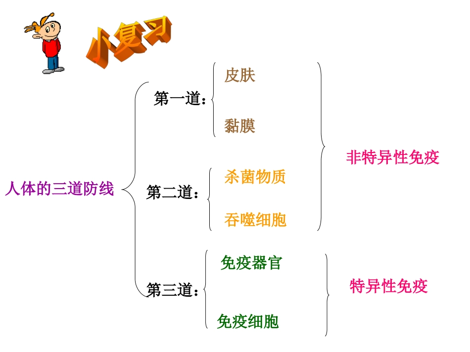 人体的免疫防线3_第3页