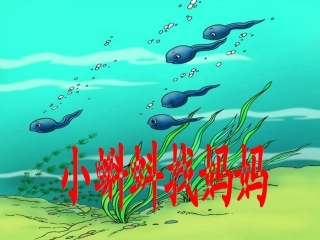 《34、小蝌蚪找妈妈》