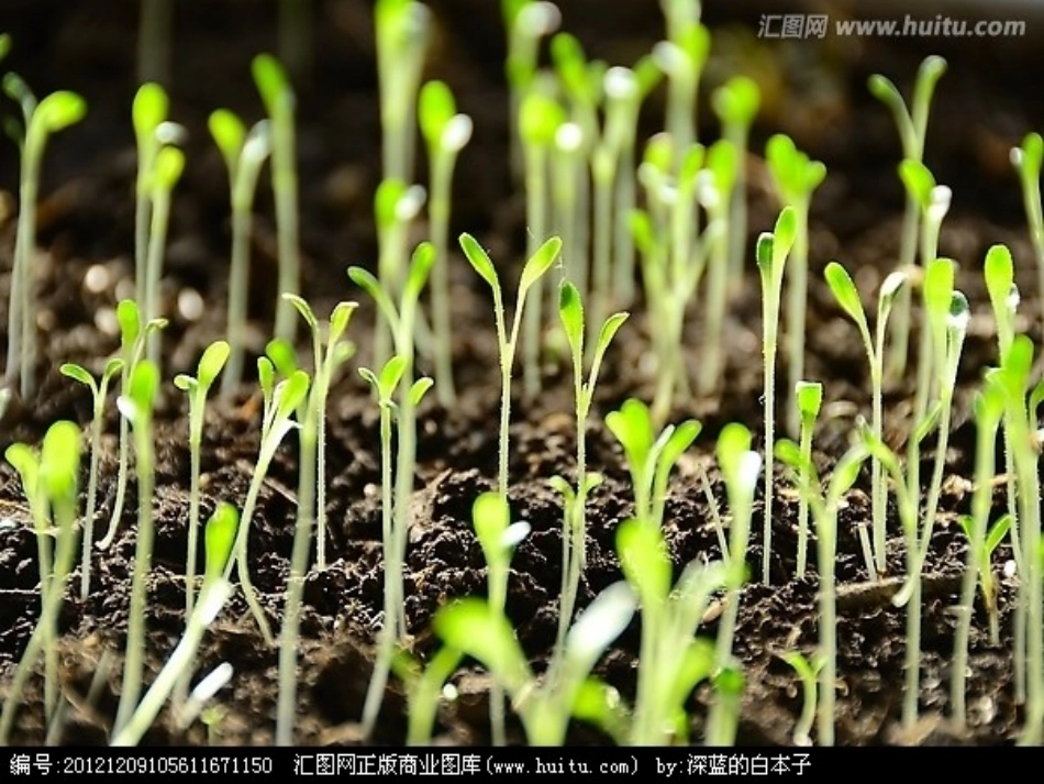 春雨的色彩 (3)_第2页