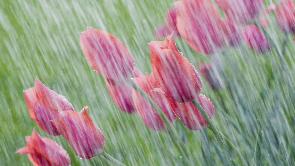 3春天的小雨滴滴滴_第1页