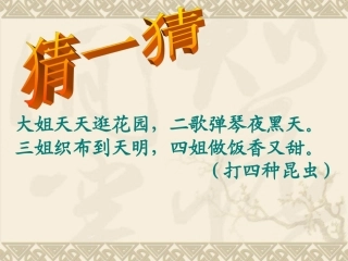 《绿色蝈蝈》ppt课件(9页)